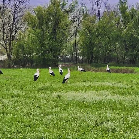 Natura בית נופש