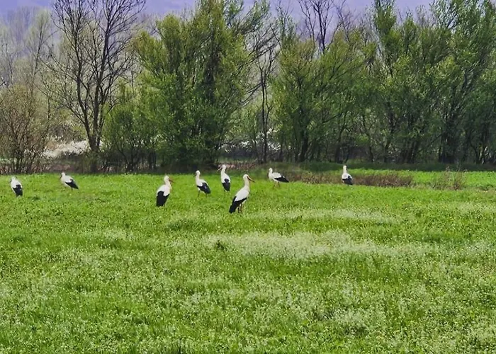 Natura Дом отдыха